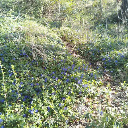 Apartman Apartmaji Matazin *