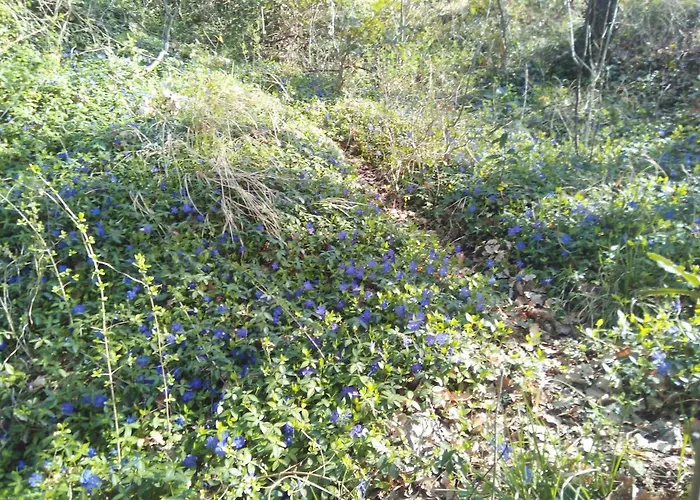 شقة Apartmaji Matazin *